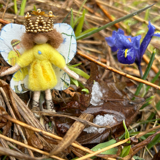 The Joy of a Dwarf Iris